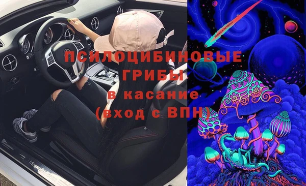 MESCALINE Покачи