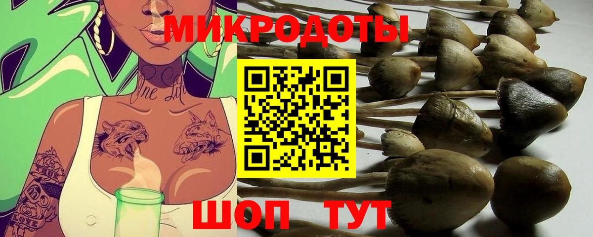 Галлюциногенные грибы мухоморы  Вход с VPN  Галлюциногенные грибы Magic Shrooms  Сосновый Бор 
